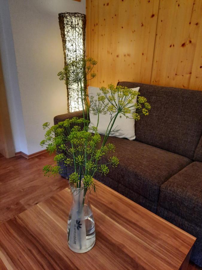 Appartement Haus Untergand à Sankt Anton am Arlberg Extérieur photo